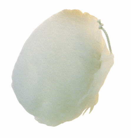 Pg Lambswool Bonnet Size