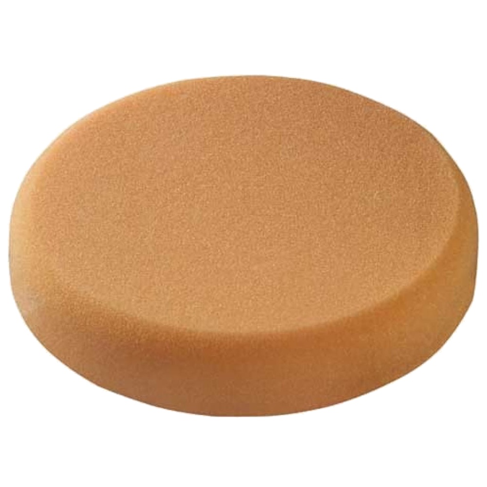 Sponge Orange